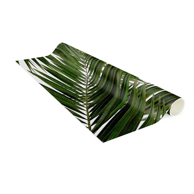 dywan nowoczesny Widok przez zielone liście palmy