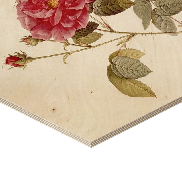 Obraz heksagonalny z drewna 3-częściowy - Pierre Joseph Redouté - Róże