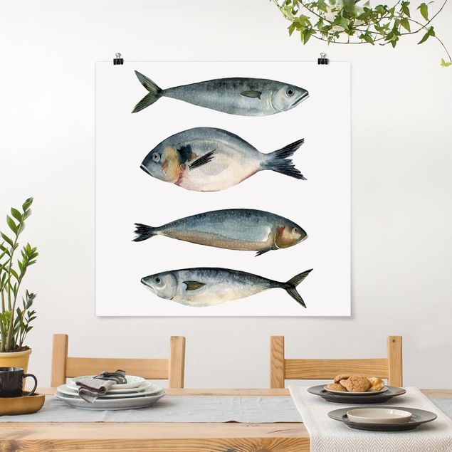 Obrazy do salonu Cztery ryby w akwareli II