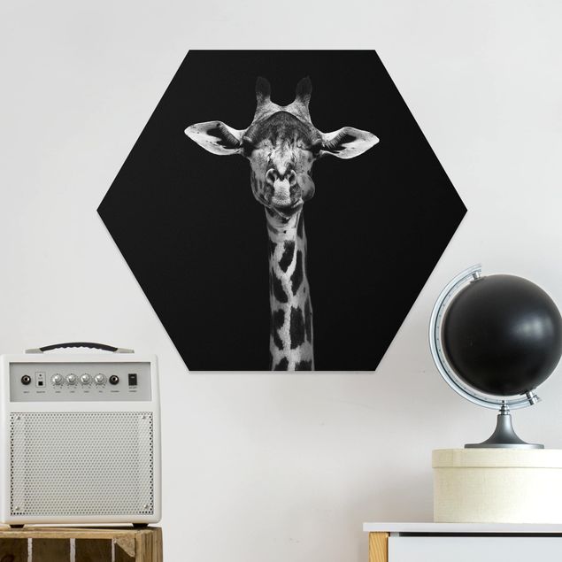 Obrazy do salonu Portret ciemnej żyrafy