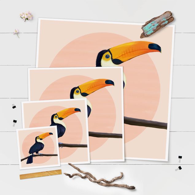 Obrazy na ścianę Ilustracja ptak tukan malarstwo pastelowe