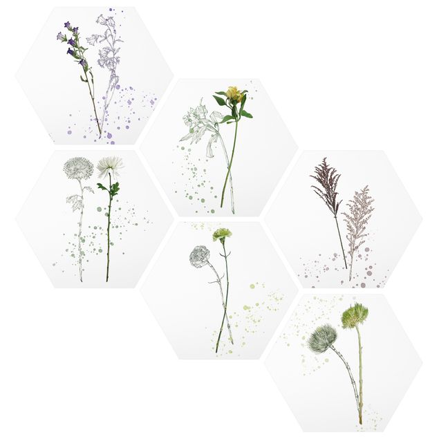 Obrazy motywy kwiatowe Zestaw akwareli botanicznych II