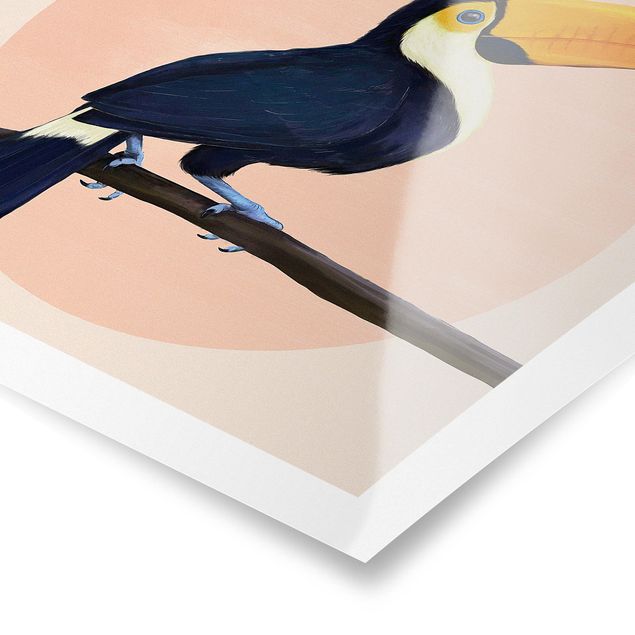 Plakaty zwierzęta Ilustracja ptak tukan malarstwo pastelowe