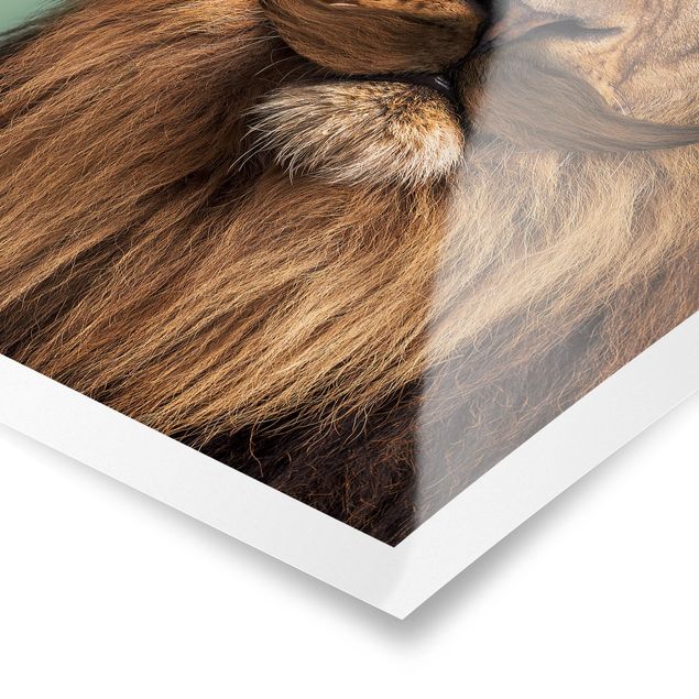 Obraz lwa Lew z brodą