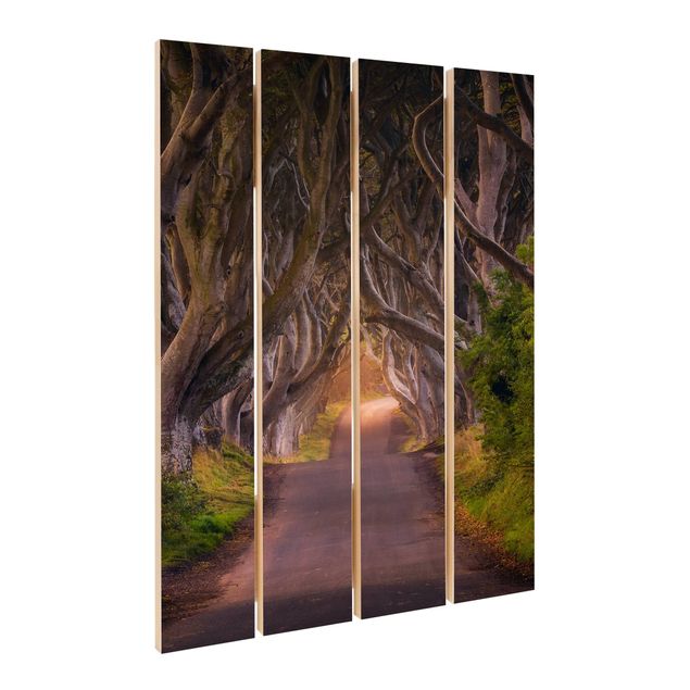 Obraz z drewna - Tunel z drzew