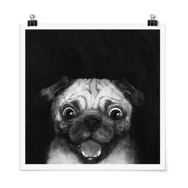 Obrazy zwierzęta Ilustracja pies Pug malarstwo na czarno-biały