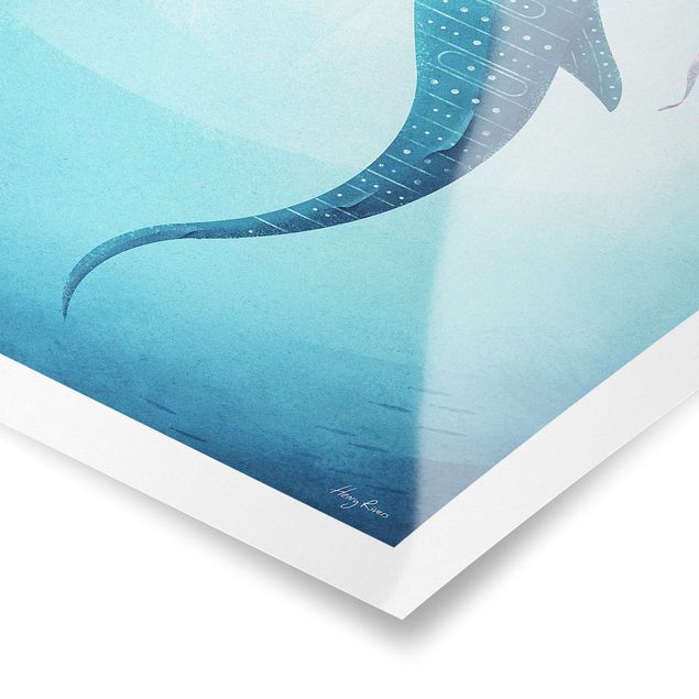 Plakaty ze zwierzętami Rekin wielorybi