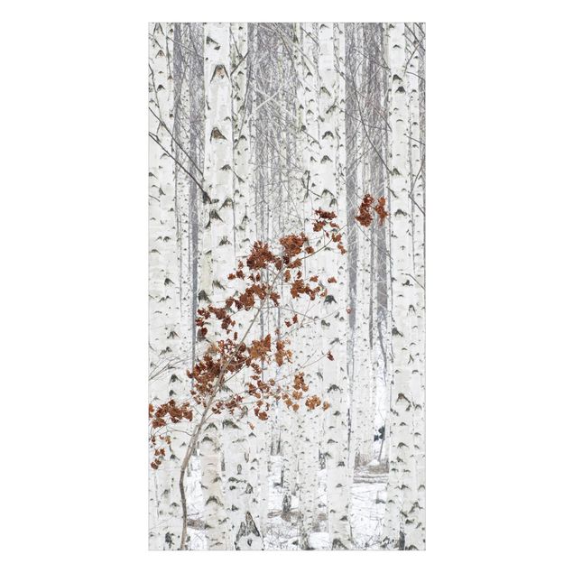 Tylna ścianka prysznicowa - Birch Trees In Autumn