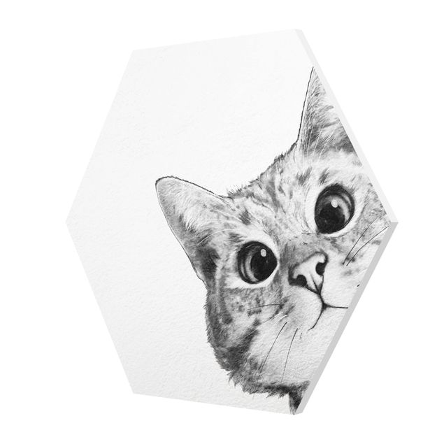 Obrazy ze zwierzętami Ilustracja kota Rysunek czarno-biały