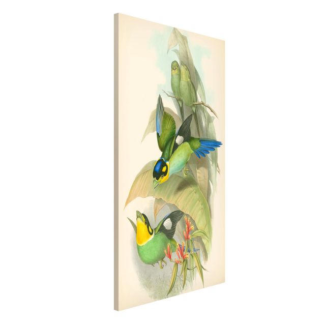 Dekoracja do kuchni Ilustracja w stylu vintage - ptaki tropikalne