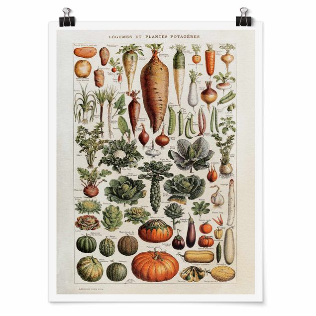 Obrazy retro Tablica edukacyjna w stylu vintage Warzywa