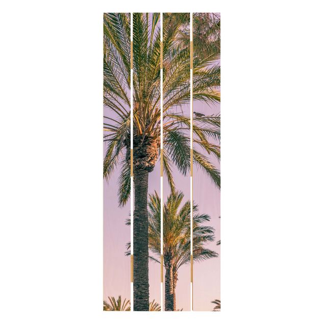 Obrazy z drewna Palmy w promieniach zachodzącego słońca