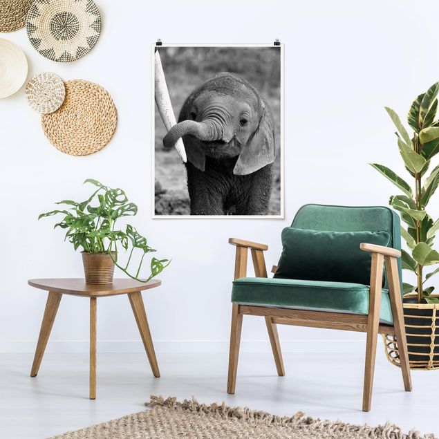 Obrazy do salonu nowoczesne Baby słoń