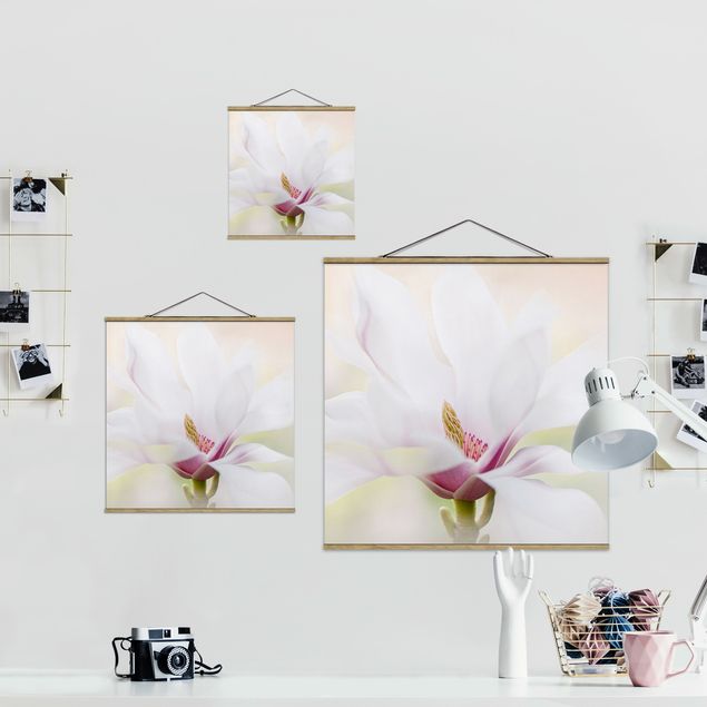 Plakat z wieszakiem Czuły kwiat magnolii