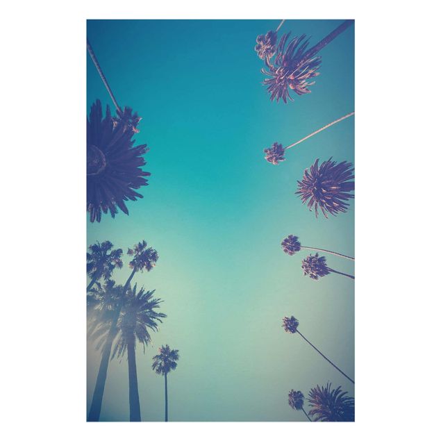 Obrazy nowoczesne Rośliny tropikalne Palmy i niebo II