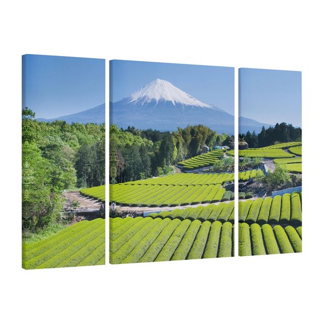 Obrazy góry Pola herbaciane przed Fuji
