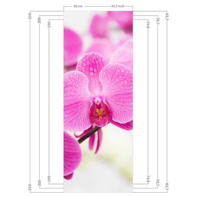 Tylna ścianka prysznicowa - Close-Up Orchid
