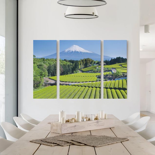 Obrazy do salonu Pola herbaciane przed Fuji