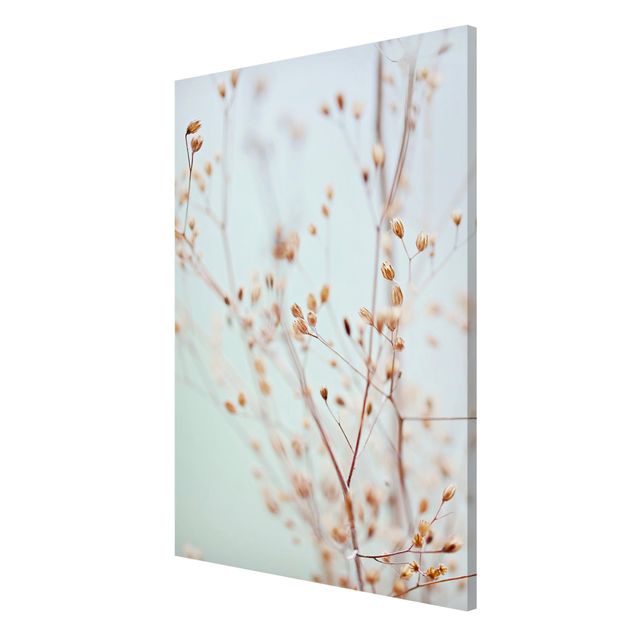 Obrazy nowoczesne Pąki pastelowe na gałązce polnych kwiatów