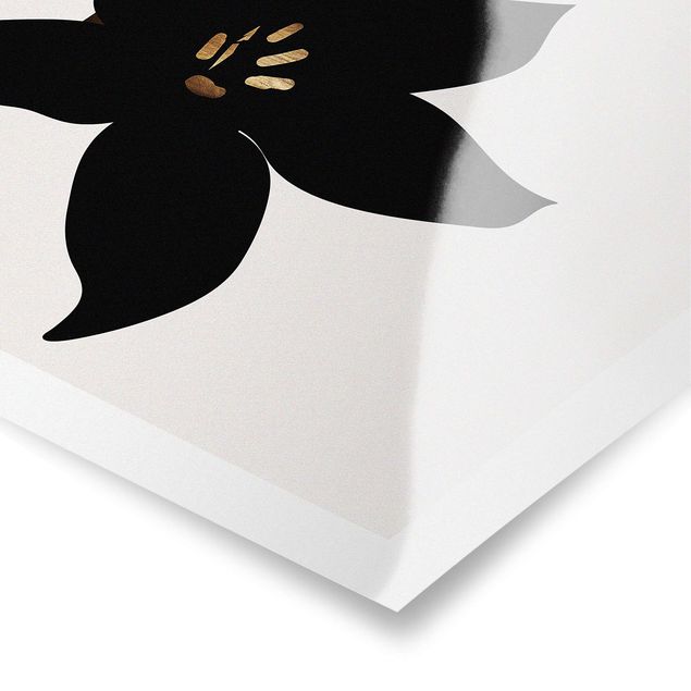 Obrazki czarno białe Graficzny świat roślin - Orchidea czarno-złota