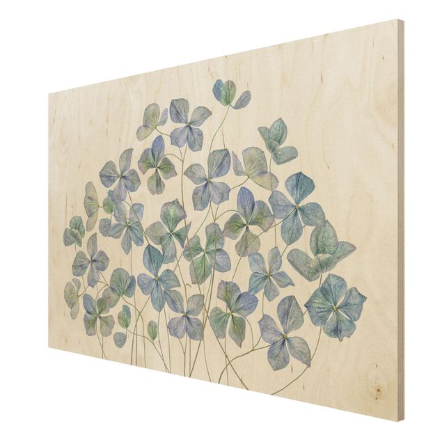 Obrazy z drewna Błękitne kwiaty hortensji