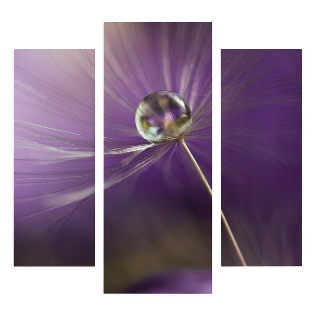 Obrazy kwiatowe Mniszek lekarski w kolorze fioletowym