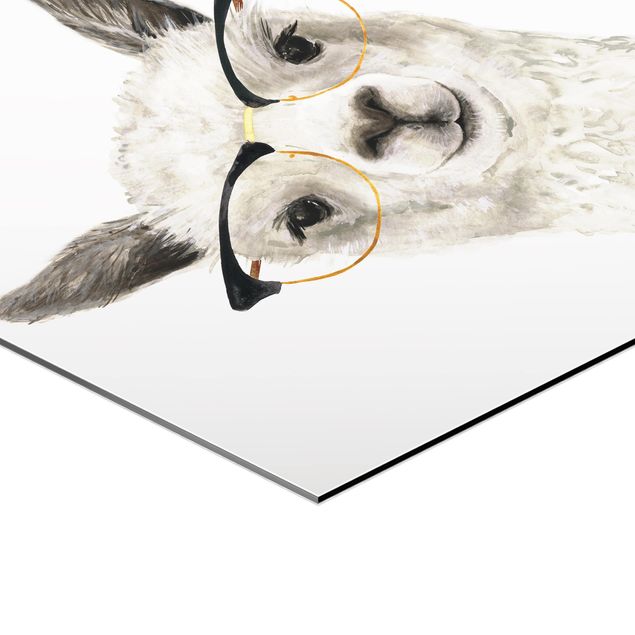 Obraz heksagonalny z Alu-Dibond - Hippy Llama w okularach I