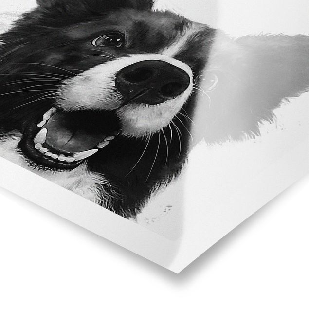 Czarno białe obrazy Ilustracja pies Border Collie czarno-biały malarstwo