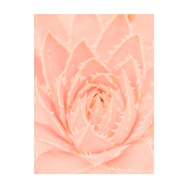 dywany w kwiaty Agawa magiczna o różowych kwiatach