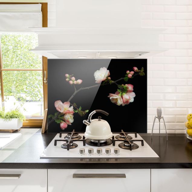 Panele szklane do kuchni Jabłoń z kwitnącą gałązką