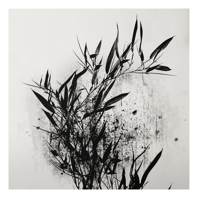Obrazy do salonu Graficzny świat roślin - Czarny bambus