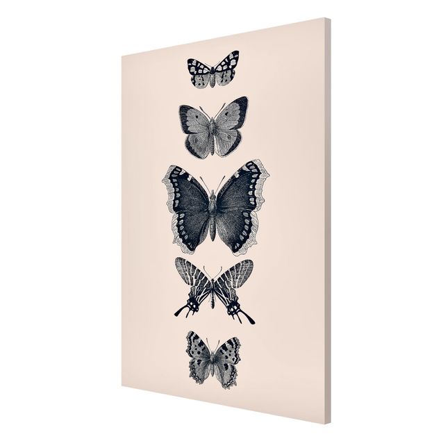 Obrazy nowoczesne Motyle z atramentu na beżowym tle