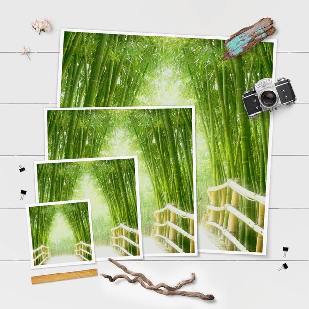 Obrazy 3d Droga bambusowa