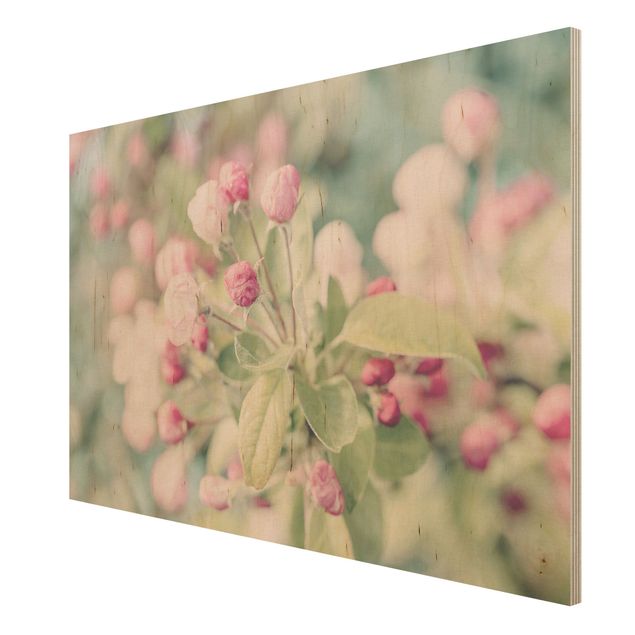 Obrazy na ścianę Kwiat jabłoni bokeh różowy