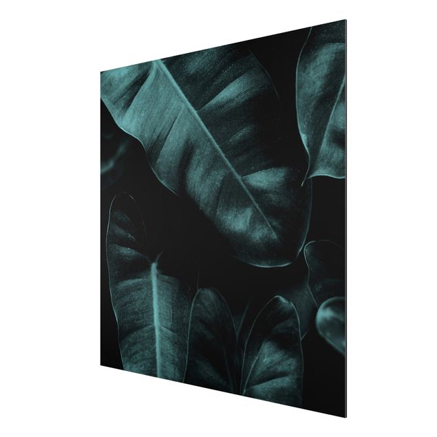 Nowoczesne obrazy Liście dżungli ciemnozielone