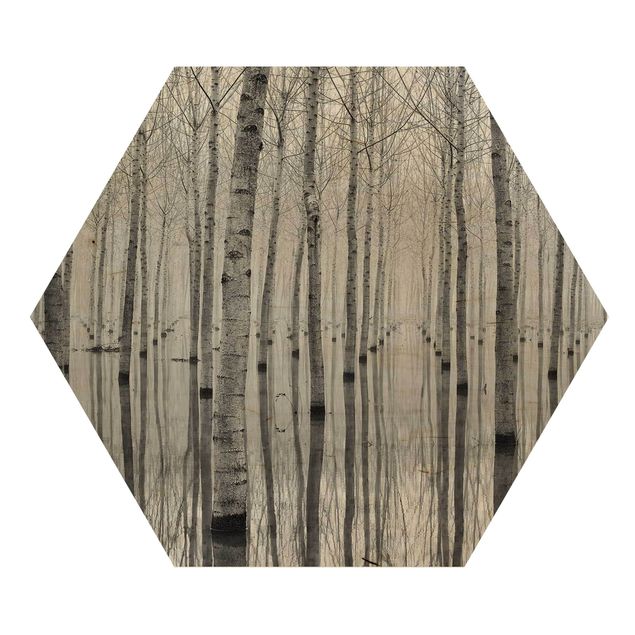 Obraz heksagonalny z drewna - Brzozy w listopadzie