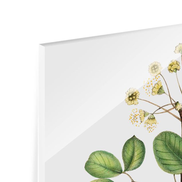 Panel szklany do kuchni - Liście z kwiatami IV