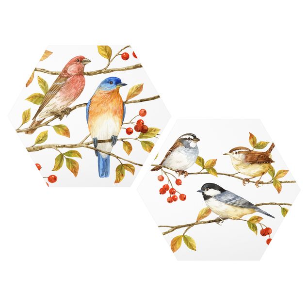 Obraz heksagonalny z Forex 2-częściowy - Zestaw I Ptaki i jagody