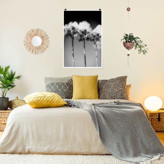 Obrazy nowoczesne Palmy na tle nieba, czarno-białe