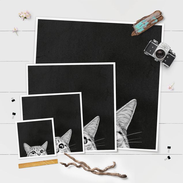 Obraz czarny Ilustracja kot czarno-biały rysunek