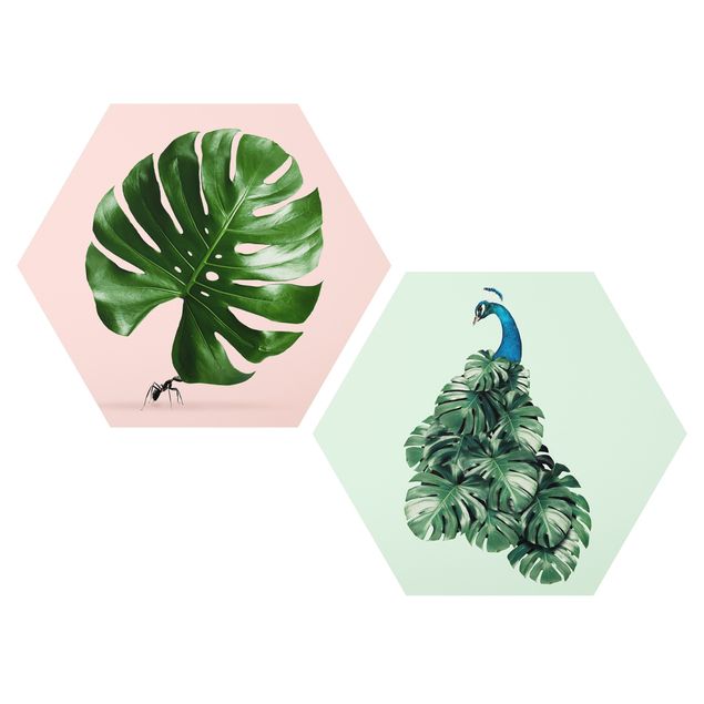 Obraz heksagonalny z Forex 2-częściowy - Anty i liście Monstery Pawiej