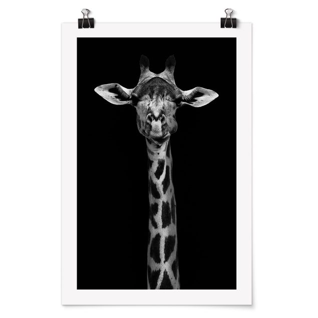 Obrazy zwierzęta Portret ciemnej żyrafy