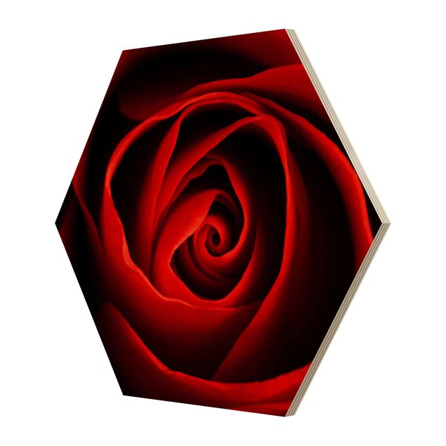 Obraz heksagonalny z drewna - Piękna róża