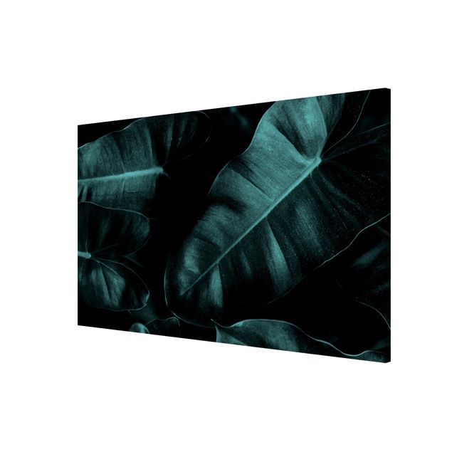Obrazy nowoczesne Liście dżungli ciemnozielone