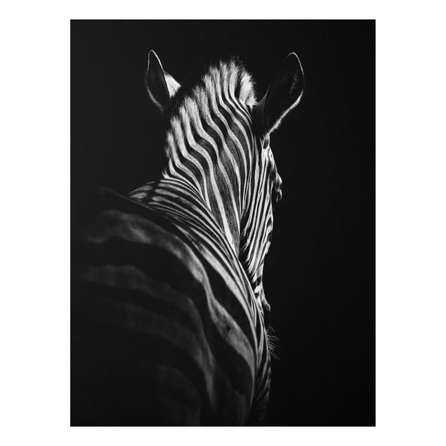 Obrazy do salonu Sylwetka zebry ciemnej