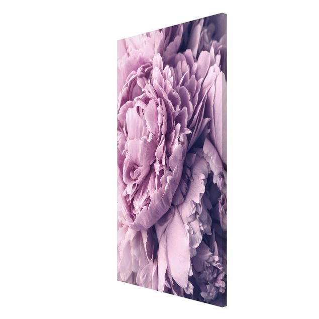 Obrazy nowoczesny Purpurowe kwiaty piwonii