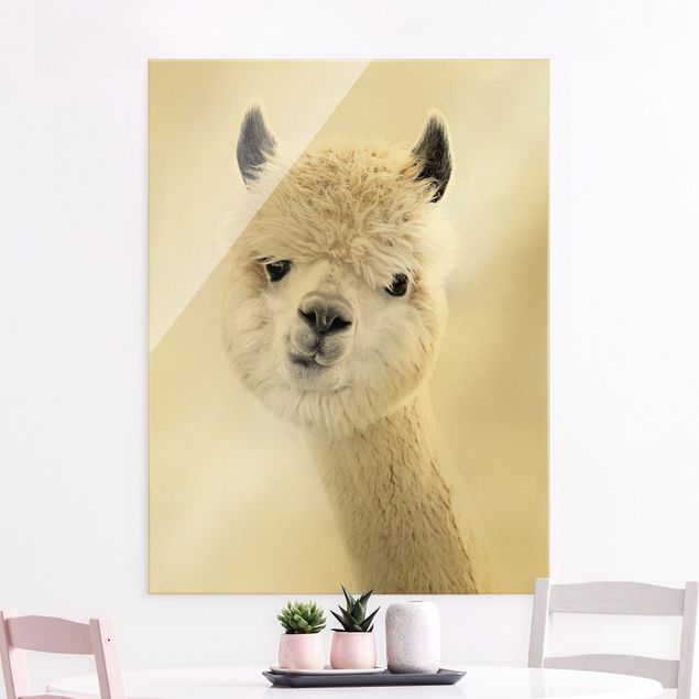 Obraz na szkle - Portret alpaki