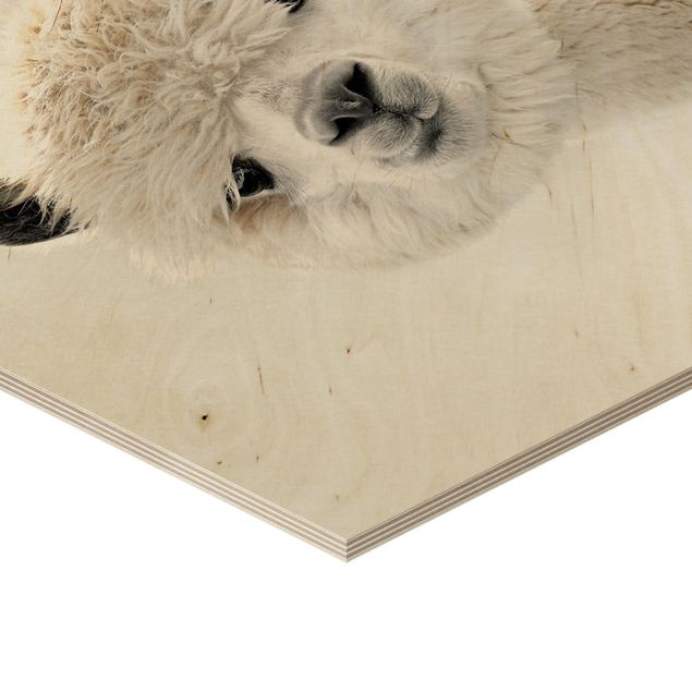 Obraz heksagonalny z drewna - Portret alpaki