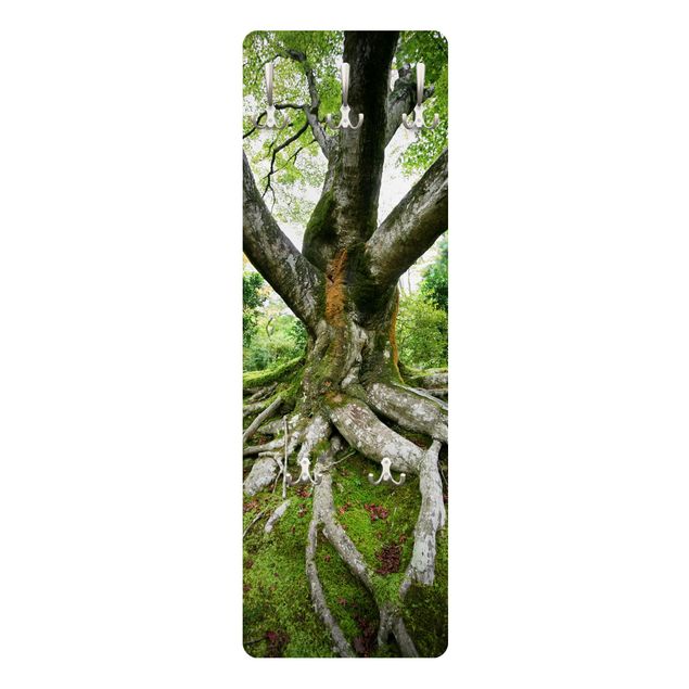 Wieszak ścienny - Stare drzewo