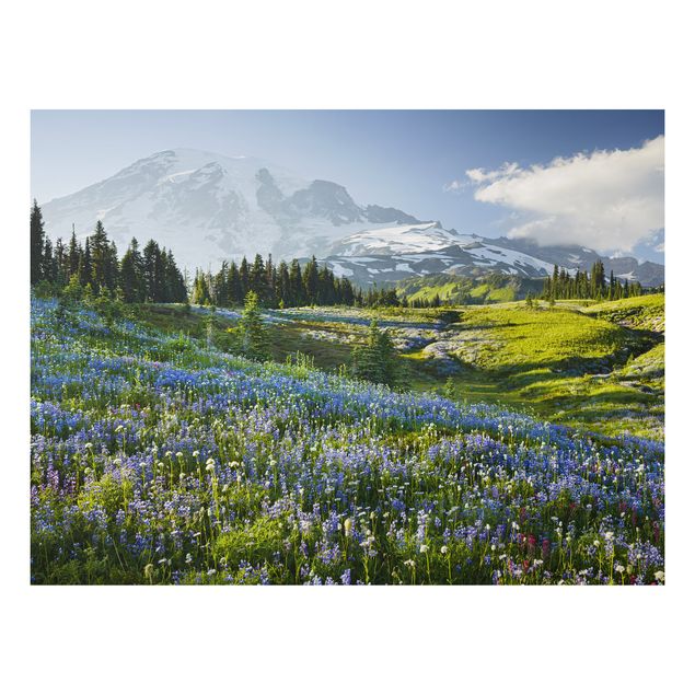 Obrazy do salonu Mountain Meadow With Blue Flowers in Front of Mt. Rainier